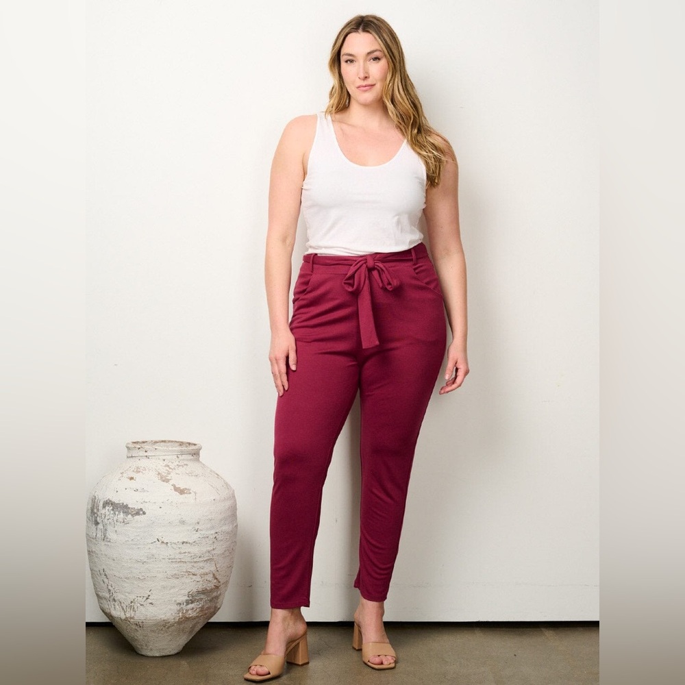 NWOT Zip Front Burgundy Pants Size 1X